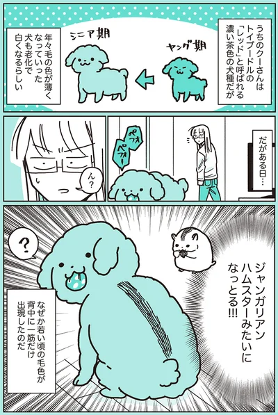ジャンガリアンハムスターみたいになっとる！！！