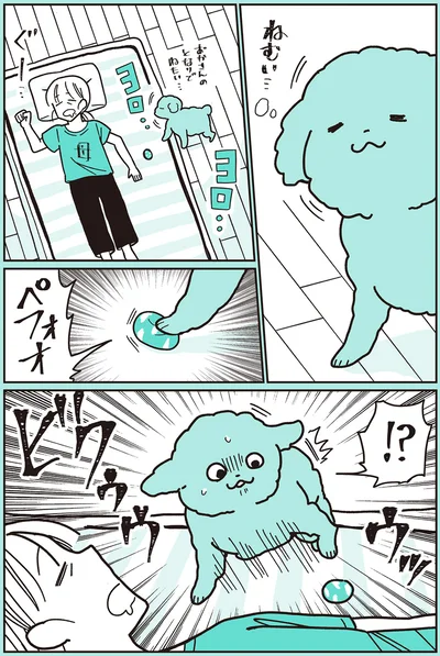 『うちのトイプーがアイドルすぎる。3』より