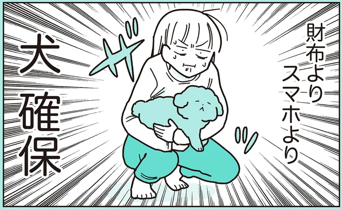 人の心、犬知らず…!?緊急地震速報でトイプーを抱きかかえた飼い主／うちのトイプーがアイドルすぎる。3（5）