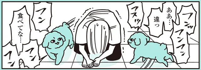 さながらベテラン刑事のよう!?戸棚や冷蔵庫に近づく家族を尾行するトイプー／うちのトイプーがアイドルすぎる。3（8）