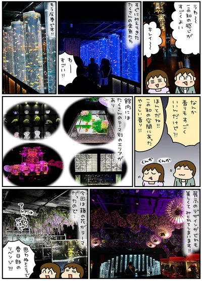 もう圧巻です！！