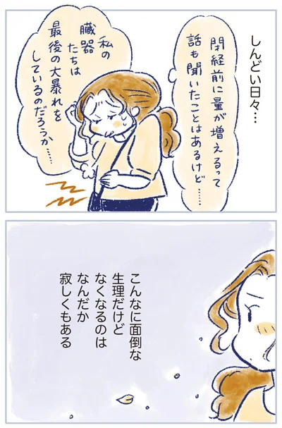 『私の生理のしまい方』より