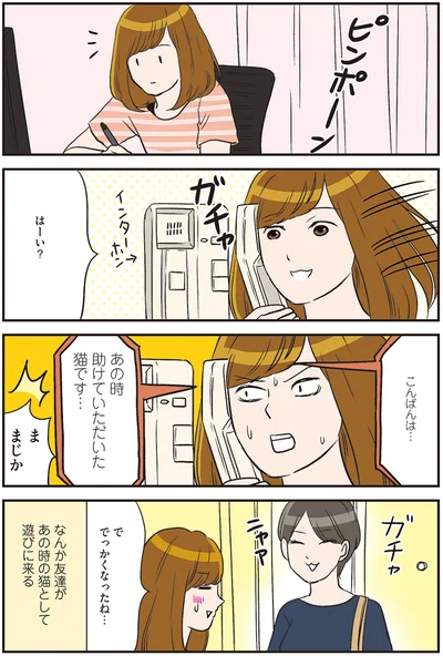 『ひとりぐらしも極まれり』より