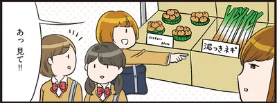 あっ　見て！！