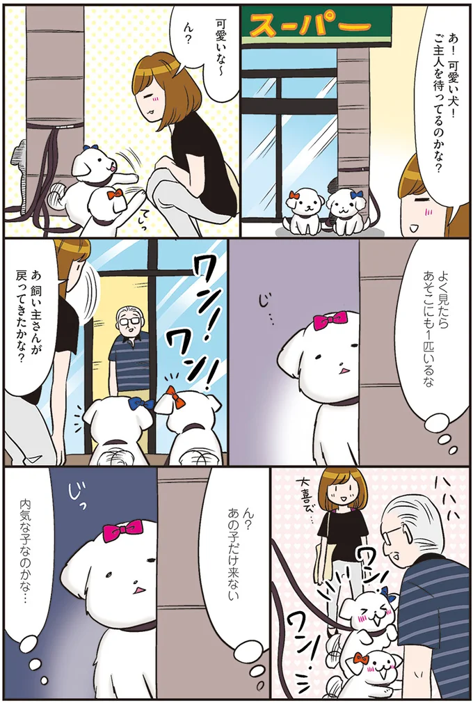 飼い主さんが戻ってきたかな？