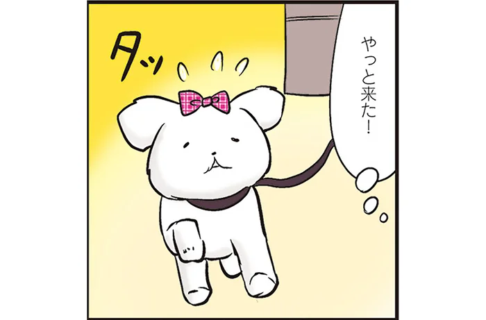お店から出てきた飼い主をお迎えする犬たち。内気な子が意外な行動に！／ひとりぐらしも極まれり（3）