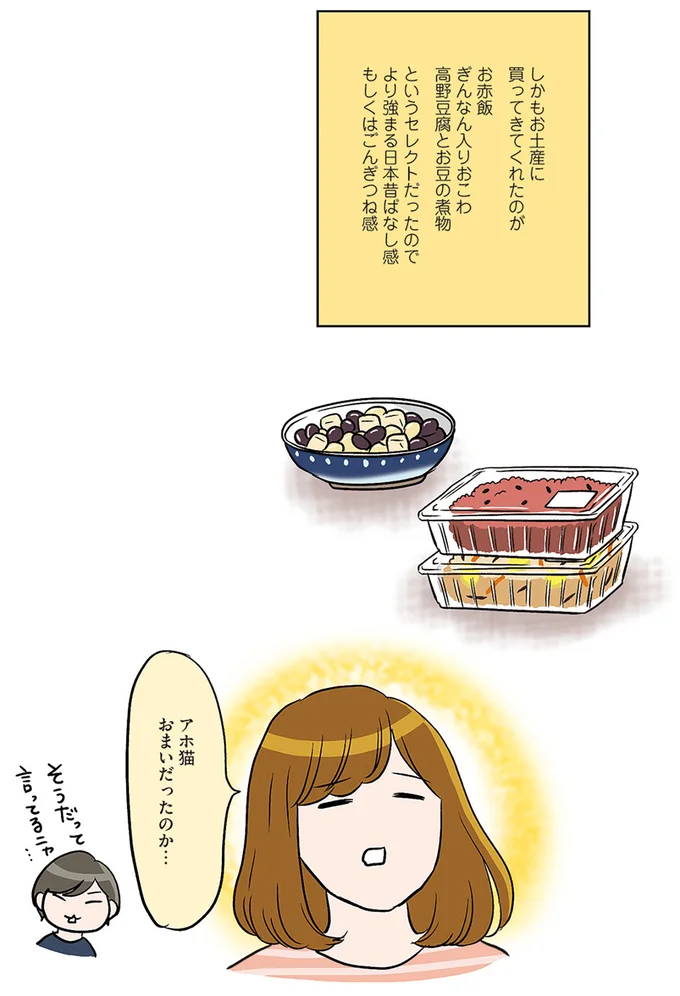 アホ猫　おまいだったのか…