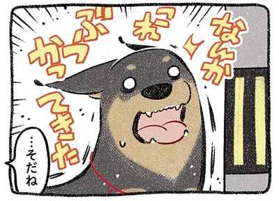 なんかこれぶつかってきた