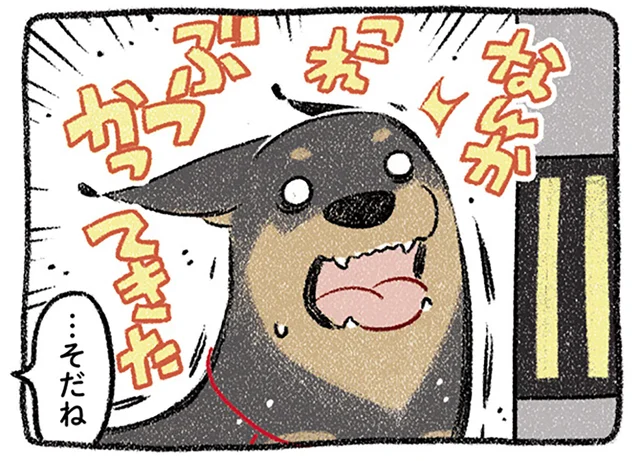 電柱にぶつかるしドブにハマる!? よそ見をしたばかりに災難に見舞われるドーベルマン／ドベとノラ2（2）