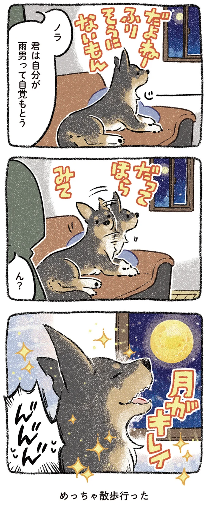 めっちゃ散歩行った