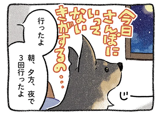 今日さんぽにいってないきがするの…