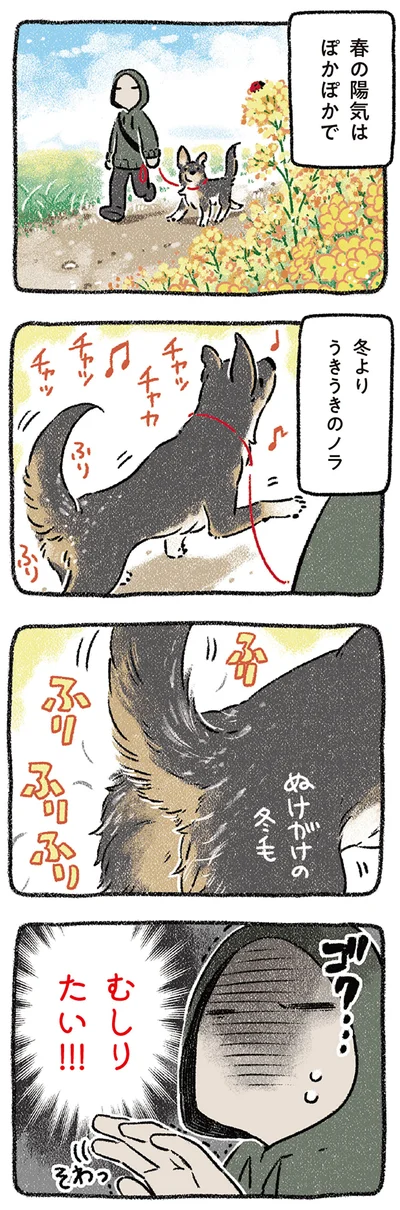 うきうきのノラ