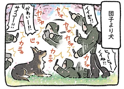 団子より犬