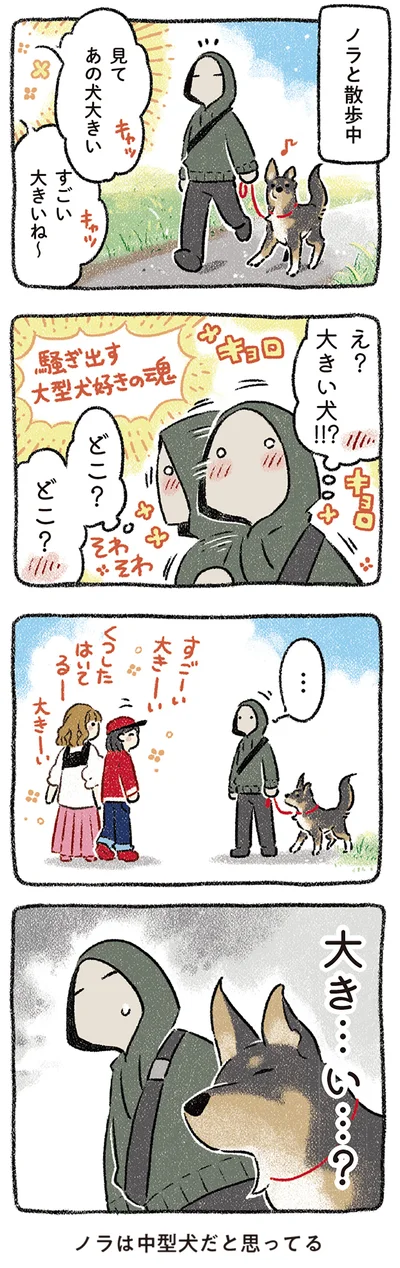 ノラは中型犬だと思ってる