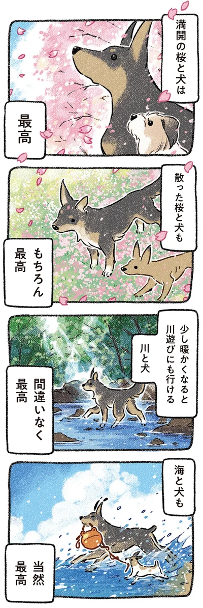 最高