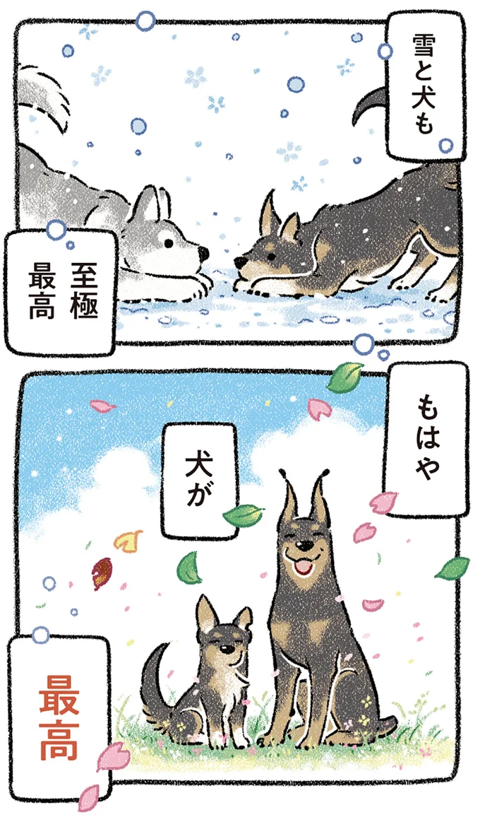 もはや犬が最高