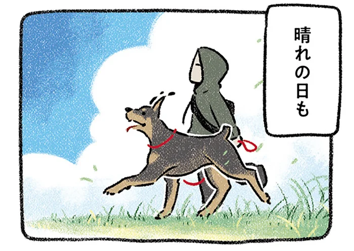 晴れ男と雨男なうちの犬たち。どんな天気でも、彼らと一緒ならいつも良い天気！／ドベとノラ2（9）