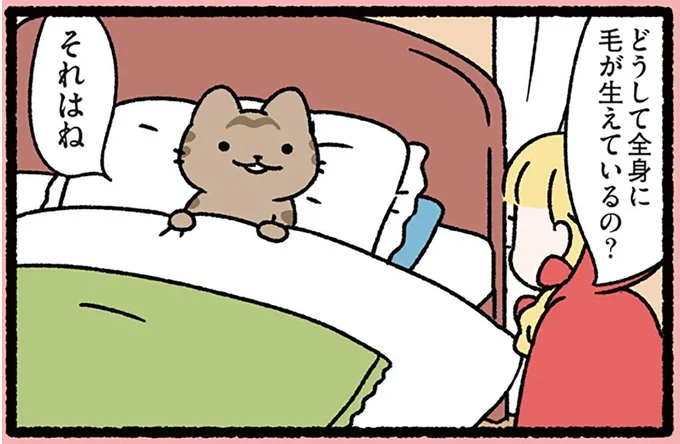 【赤ずきんとねこ】「どうして？」度重なる赤ずきんからの質問に自信満々に答えるねこ／ねこむかしばなし（1）
