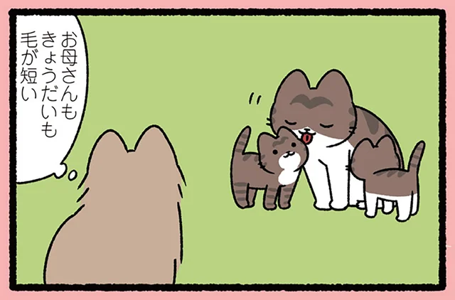 【みにくいアヒルの子なねこ】自分だけ少し違う姿でも、ねこにとってはよくあること？／ねこむかしばなし（5）