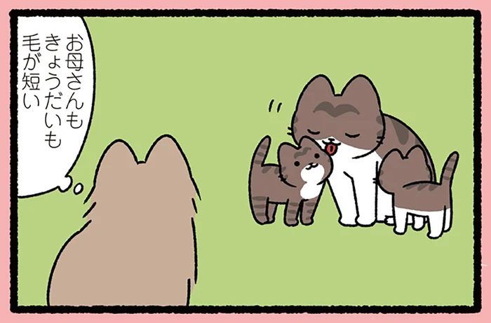 【みにくいアヒルの子なねこ】自分だけ少し違う姿でも、ねこにとってはよくあること？／ねこむかしばなし（5）