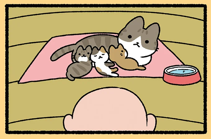 「このはしわたるべからず」の真実