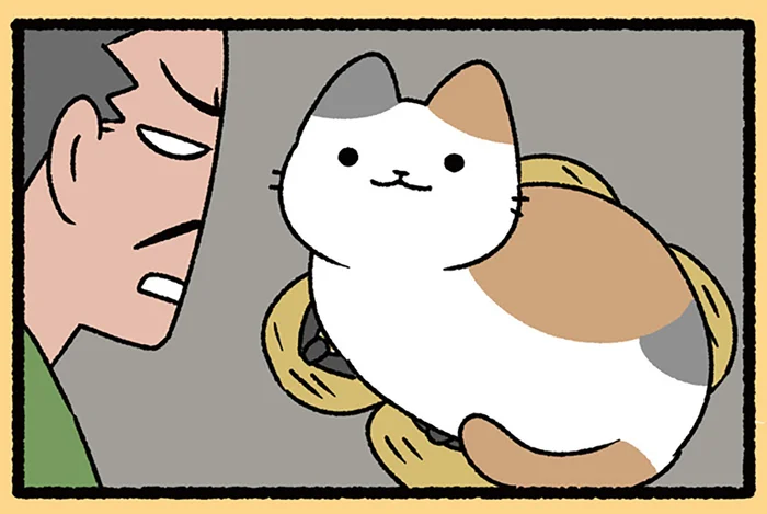 【信長とねこ】出かける予定だった信長が、ねこが温めた草履を見つめると／ねこむかしばなし（8）
