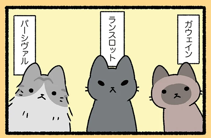 【円卓の騎士なねこ】猫カフェに集いし円卓の騎士！ ごはんタイムが大人気です／ねこむかしばなし（10）