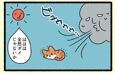 北風と太陽、勝つのは？