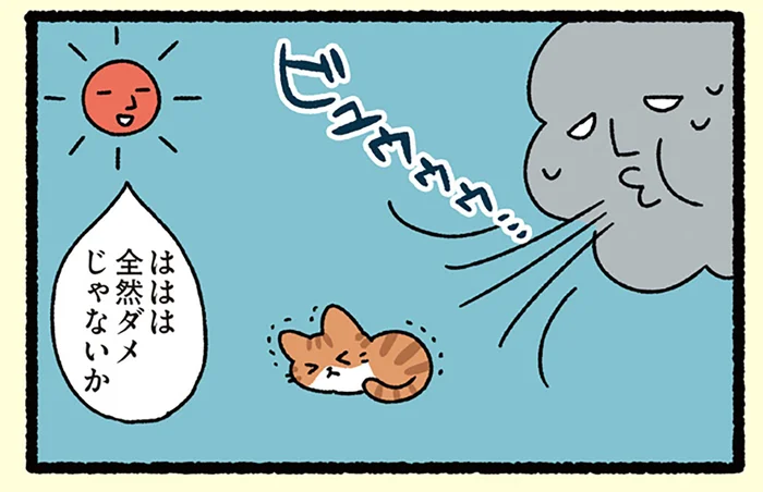 【北風と太陽とねこ】勝利の女神は誰に微笑む？ 勝敗の鍵はねこが握る！／ねこむかしばなし（12）