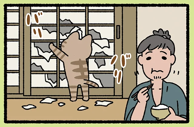 【カチカチ山とバリバリ山】バリバリとした音に疑問を抱くも、ねこに誤魔化されてしまい？／ねこむかしばなし（14）
