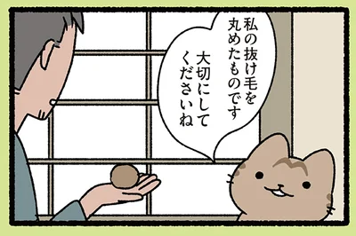 抜け毛を、丸めた…もの？
