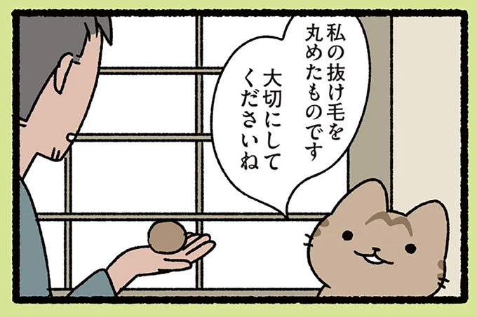 抜け毛を、丸めた…もの?