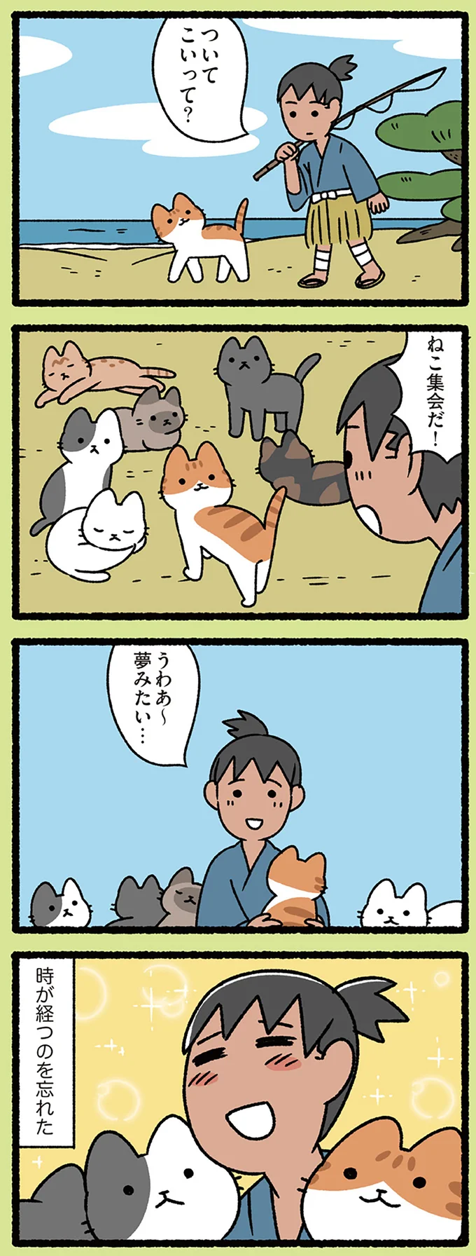 ねこ集会だ!