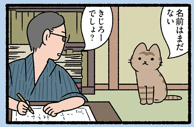 飼い主とねこの日常会話