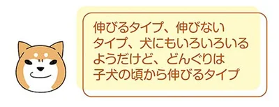『ドヤ顔柴犬どんぐり』より