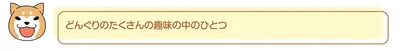 どんぐりの趣味の中のひとつ