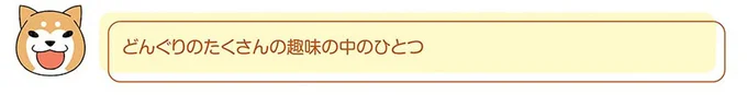 どんぐりの趣味の中のひとつ