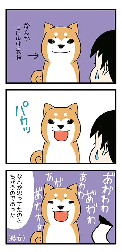 ニヒルな表情