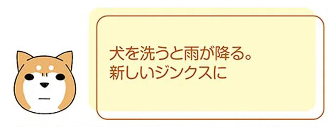 犬を洗うと雨が降る