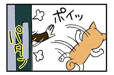 「留守番よろしくね」母に置いて行かれた柴犬の仕返し