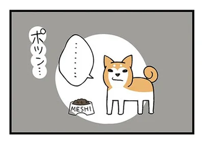 ひとりはイヤ！キッチンでゴハンを食べていた柴犬のムスッとアピール