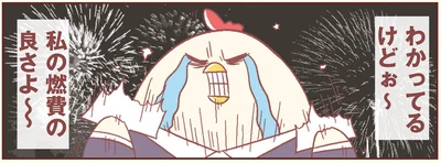 私の燃費の良さよ〜