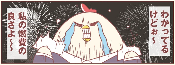 私の燃費の良さよ〜