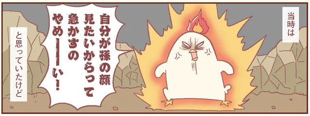 母に子どもを急かされ反感を抱いた過去。実際に息子を産んでから気づいた真意／主婦の給料、5億円ほしーー!!!（17）
