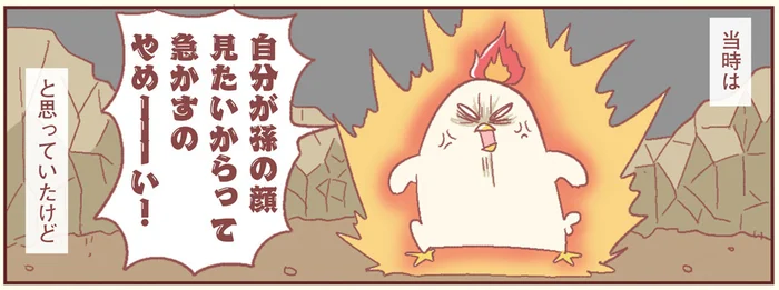 母に子どもを急かされ反感を抱いた過去。実際に息子を産んでから気づいた真意／主婦の給料、5億円ほしーー!!!（17）