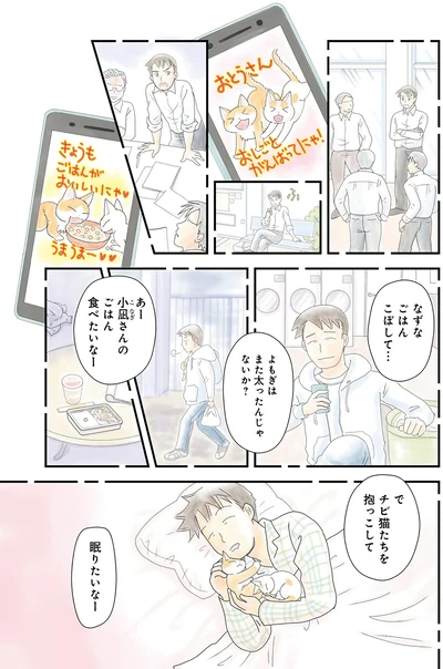 チビ猫たちを抱っこして眠りたいなー