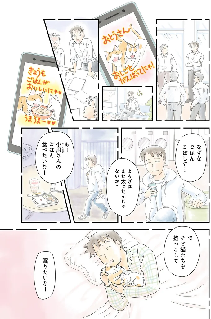 チビ猫たちを抱っこして眠りたいなー