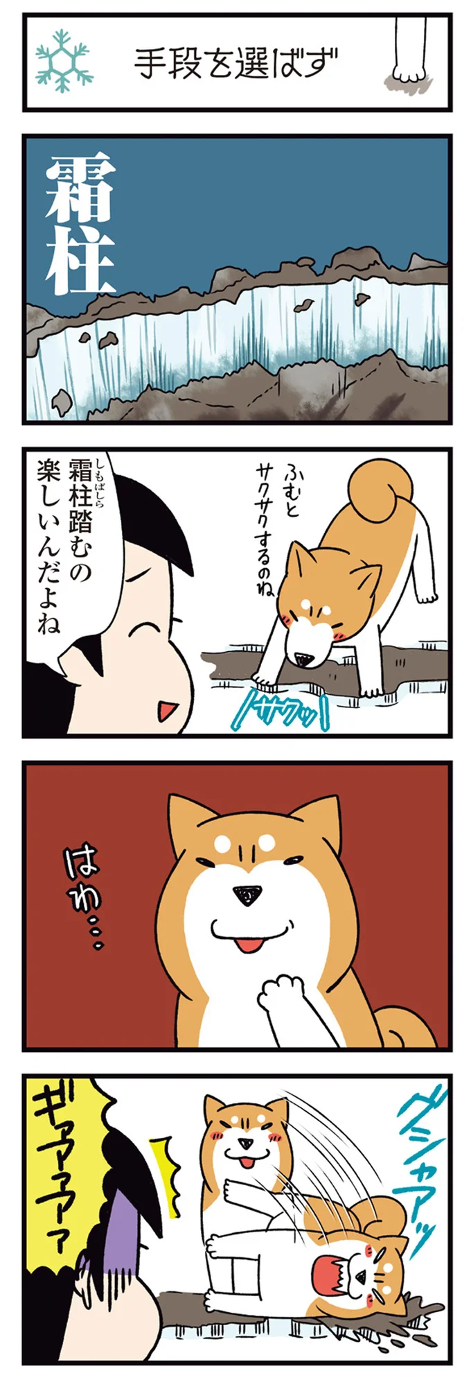 グシャアッ