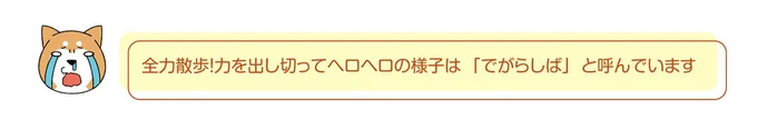 『ドヤ顔柴犬どんぐり2』より