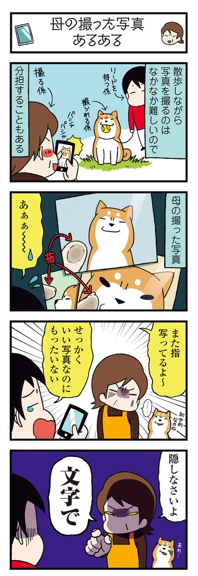 『ドヤ顔柴犬どんぐり2』より